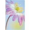 Carta Artebene Foil-Congratulazioni-Anemone