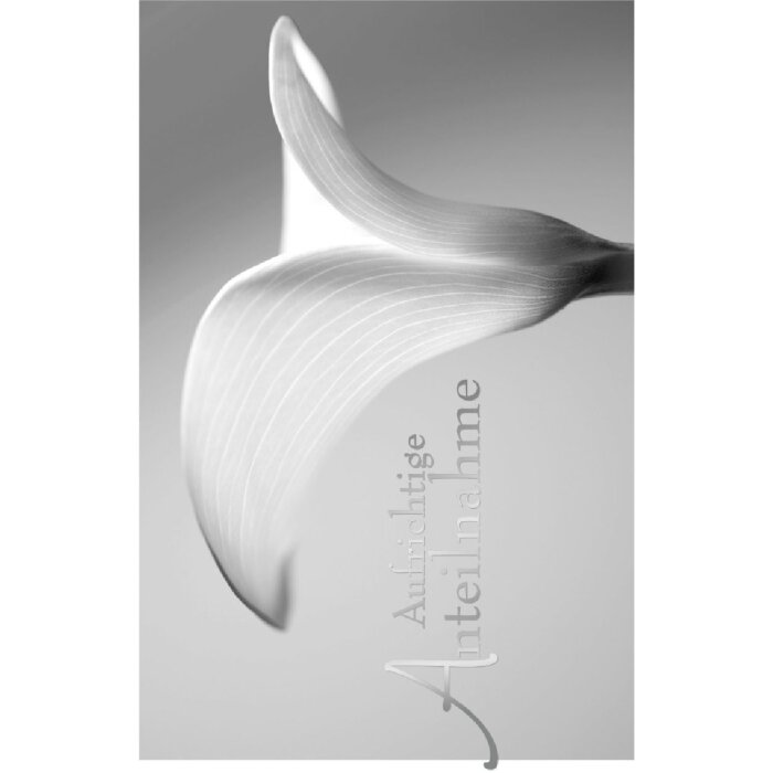 Livello artistico Carta in rilievo-Lutto-Calla-Partecipazione