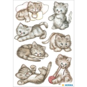 Etichette decorative Droll Kitten 3 sh.