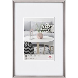 Galeria telaio in plastica 40x60 acciaio