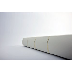 Walther Album 300 foto 10x15 monza bianco