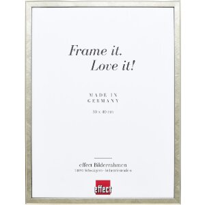 Cornice per foto Effect Profil 29 Argento 25x60 cm Vetro...