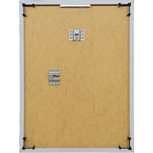 Cornice in plastica Effect Art 37x98 cm con vetro plastico platin