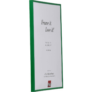 Cornice per foto in plastica Effect 37x98 cm verde con vetro artistico UV-resistente