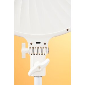 Dispositivo Falcon Eyes 290880 di alta qualità con design robusto e ottica precisa