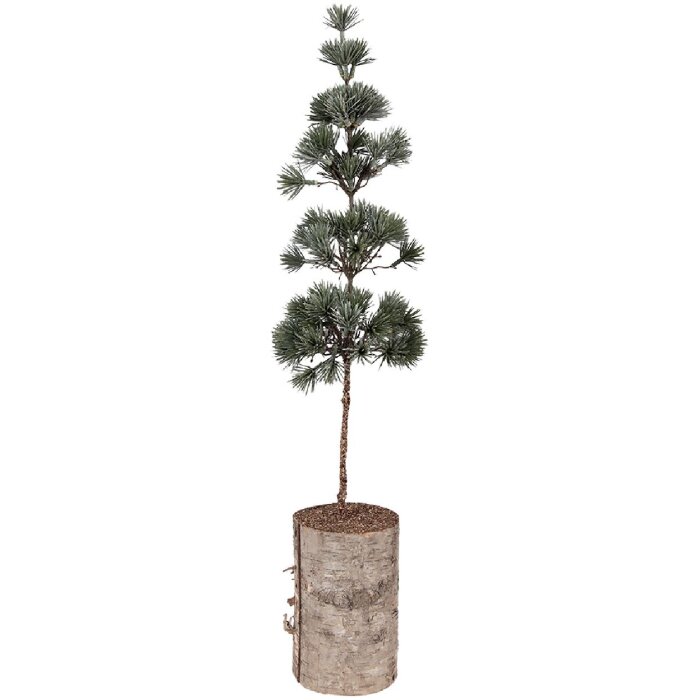 Decorazione ad albero Clayre & Eef 50841 14x14x60 cm Verde-Marrone