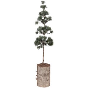 Decorazione ad albero Clayre & Eef 50841 14x14x60 cm...