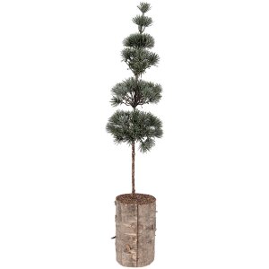 Decorazione ad albero Clayre & Eef 50841 14x14x60 cm...