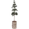 Decorazione ad albero Clayre & Eef 50841 14x14x60 cm Verde-Marrone