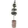 Decorazione ad albero Clayre & Eef 50841 14x14x60 cm Verde-Marrone