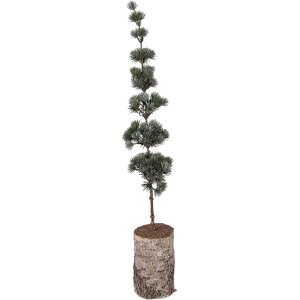 Decorazione Albero Clayre & Eef 50842 15x12x80 cm...