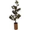 Decorazione Albero con LED Clayre & Eef 20x17x60 cm Verde Marrone