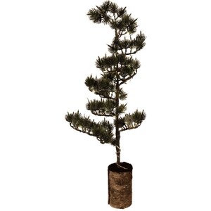 Decorazione Albero con LED Clayre & Eef Verde e Marrone 75x28x20 cm