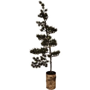 Albero decorativo Clayre & Eef 50845 con LED 30x35x100 cm Verde Marrone