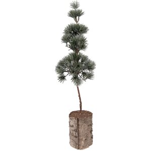 Decorazione albero Clayre & Eef 66433 14x14x45 cm...