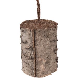 Decorazione albero Clayre & Eef 66433 14x14x45 cm Tonalità verdi con accenti marroni