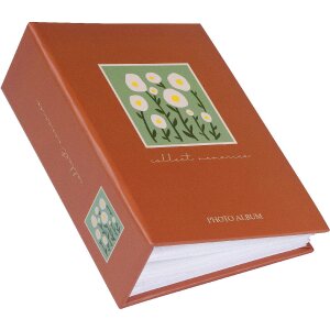 Album foto Minimax Goldbuch Serie Aura 100 immagini 10x15 cm consegna colorata sortita