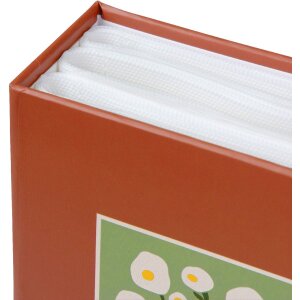 Album foto Minimax Goldbuch Serie Aura 100 immagini 10x15 cm consegna colorata sortita