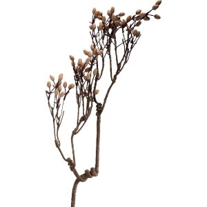 Decorazione ramo Clayre & Eef toni naturali marroni...
