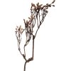 Decorazione ramo Clayre & Eef toni naturali marroni 30x4x85 cm