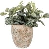 Vaso da fiori Clayre & Eef 6CE2415L beige-verde Ø 17x17 cm