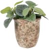 Vaso da fiori Clayre & Eef Ø 13x13 cm Beige-Verde