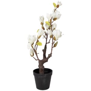 Decorazione Albero di Magnolia Clayre & Eef 16x14x60 cm bianco-marrone