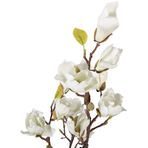 Decorazione Albero di Magnolia Clayre & Eef 16x14x60 cm bianco-marrone