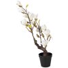 Decorazione Albero di Magnolia Clayre & Eef 16x14x60 cm bianco-marrone