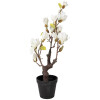 Decorazione Albero di Magnolia Clayre & Eef 16x14x60 cm bianco-marrone