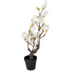 Decorazione Albero di Magnolia Clayre & Eef 16x14x60 cm bianco-marrone