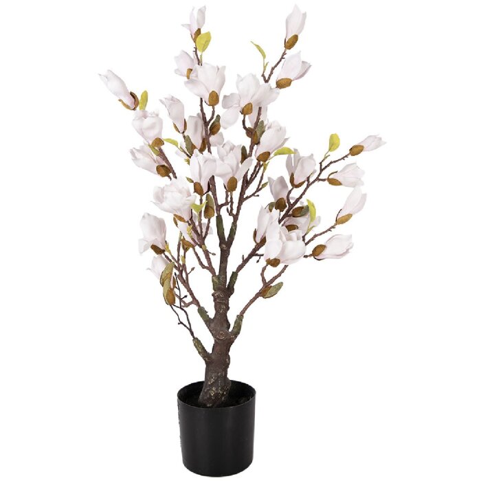 Decorazione Albero di Magnolia Clayre & Eef 20x20x75 cm Rosa Marrone