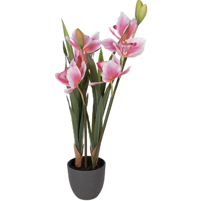 Pianta artificiale Cattleya Hybrida Rosa Verde 14x14x55 cm Clayre & Eef