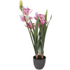Pianta artificiale Cattleya Hybrida Rosa Verde 14x14x55 cm Clayre & Eef