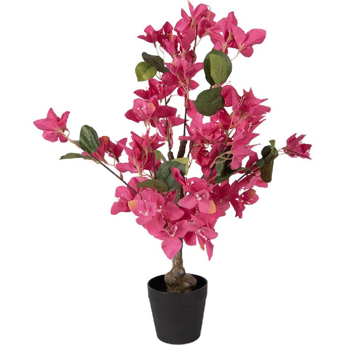 Albero decorativo Bougainvillea Clayre & Eef Rosa e Verde 25x25x60 cm