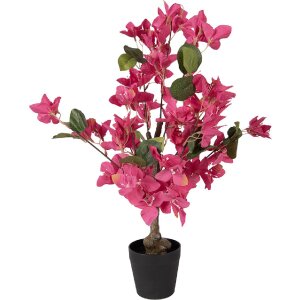Albero decorativo Bougainvillea Clayre & Eef Rosa e Verde 25x25x60 cm