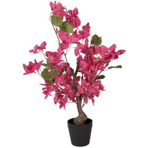 Albero decorativo Bougainvillea Clayre & Eef Rosa e Verde 25x25x60 cm