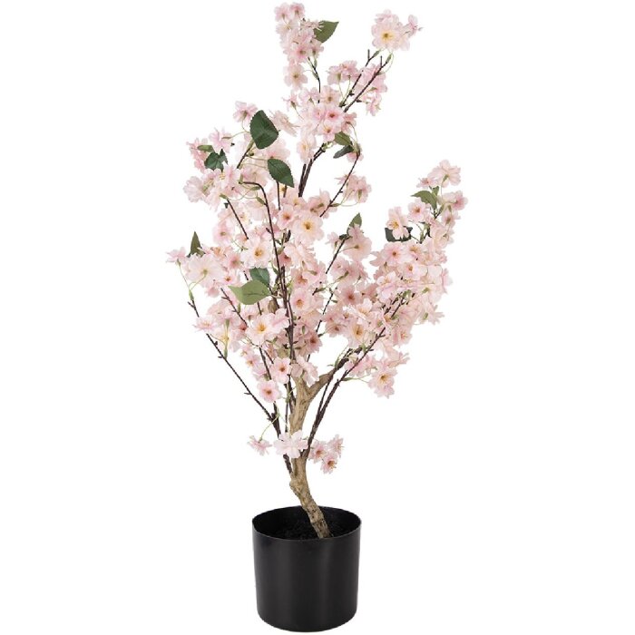 Albero decorativo con fiori di ciliegio Clayre & Eef 30x30x90 cm Rosa Marrone