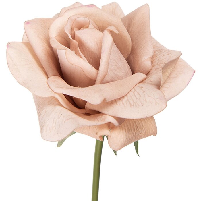 Fiore artificiale Clayre & Eef Rosa Beige-Verde 10x10x35 cm