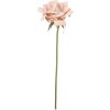 Fiore artificiale Clayre & Eef Rosa Beige-Verde 10x10x35 cm