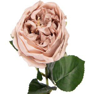 Fiore artificiale rosa beige con foglie verdi Clayre...