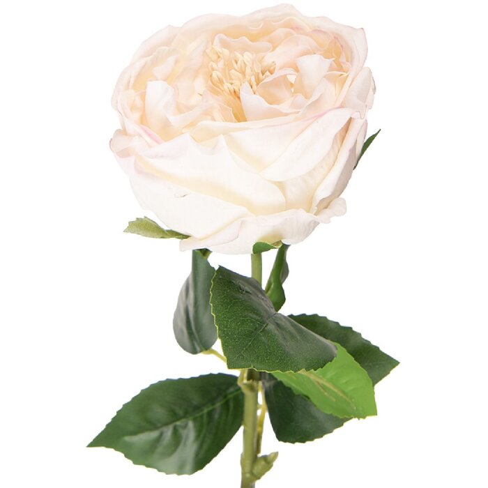 Fiore artificiale rosa Clayre & Eef 9x9x43 cm con foglie verdi