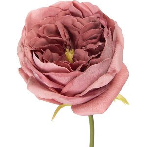 Fiore artificiale rosa con sfumature verdi Clayre & Eef 35 cm 9x9x35 cm