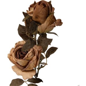 Decorazione ramo con fiori Clayre & Eef Beige-Verde...