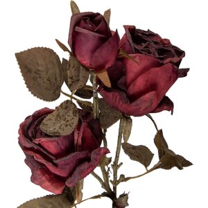 Decorazione ramo con fiori Clayre & Eef rosso-verde 12x12x70 cm