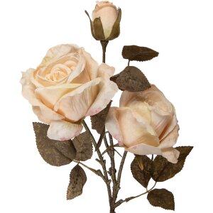 Decorazione ramo con fiori Clayre & Eef 12x12x70 cm Bianco e Verde