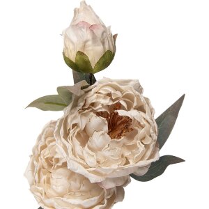 Decorazione ramo con fiori Clayre & Eef 5PL0242W Bianco-Verde 16x16x72 cm