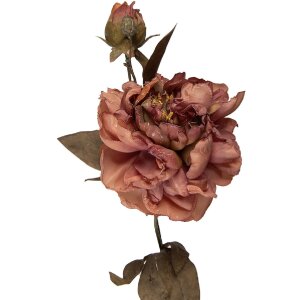 Decorazione ramo con fiori Clayre & Eef Rosa Verde 14x17x73 cm