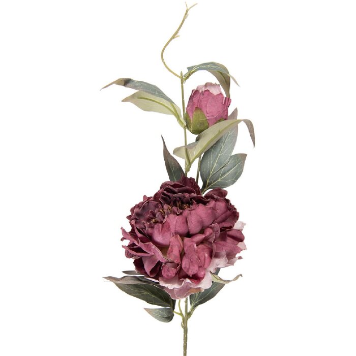 Decorazione ramo con fiori Clayre & Eef 5PL0244P Viola e Verde 14x14x78 cm