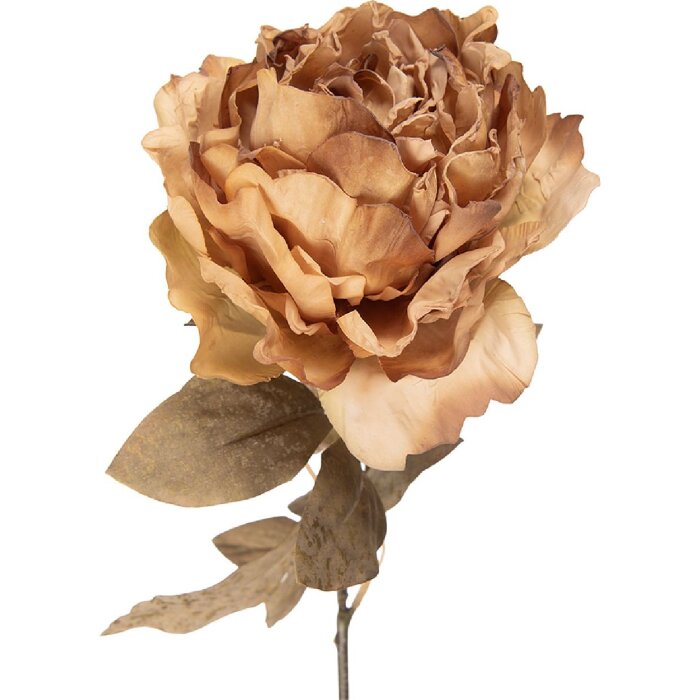 Fiore artificiale Clayre & Eef Rosa di Pasqua 14x14x70 cm Beige-Verde